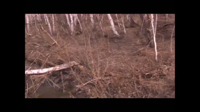 Экологический музей 2019 смотреть онлайн
