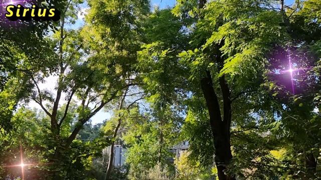 6 ноября день иконы Божией Матери: что категорически нельзя делать смотреть онлайн