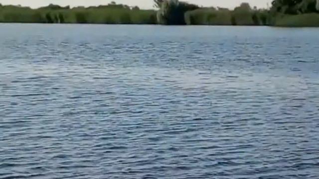 Дельта Днепра смотреть онлайн