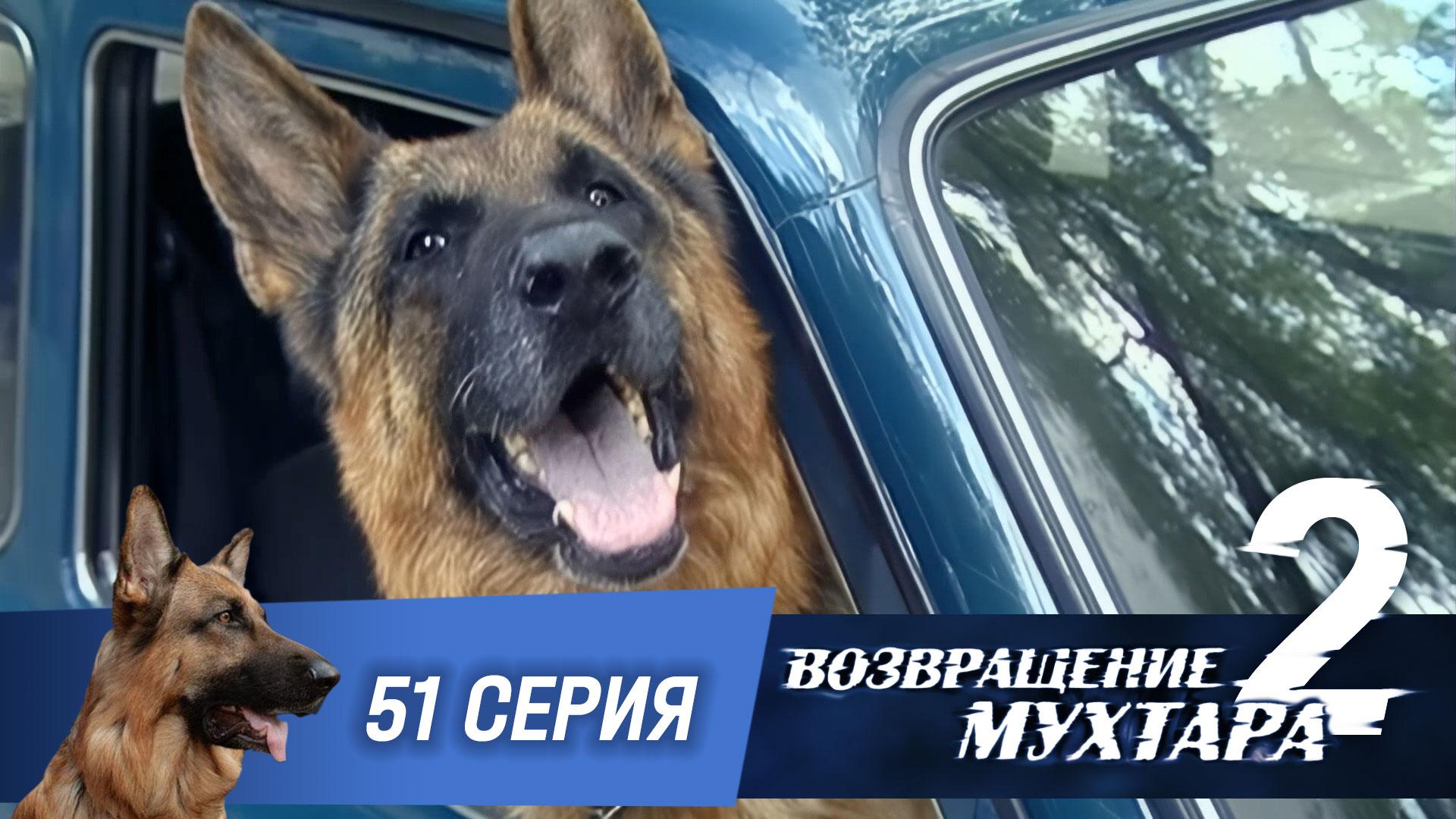 Возвращение Мухтара  2. 51 серия. Поворот