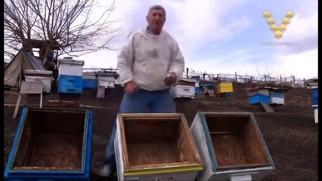 05 Дезинфекция ульев смотреть онлайн