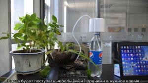 Автополив для комнатных растений — своими руками