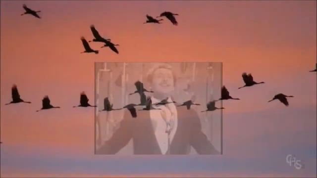 Dio, Come Ti Amo 💕 Domenico Modugno смотреть онлайн