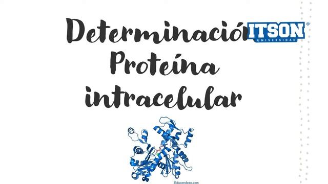 Práctica 5 Proteina Unicelular
