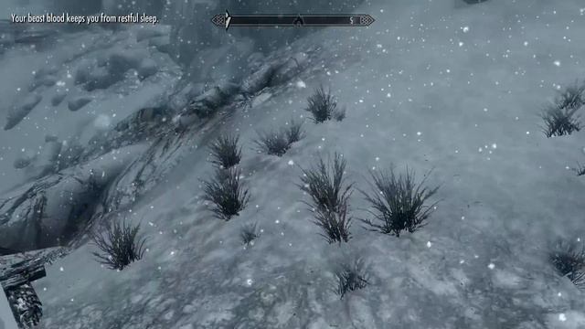 Wyntr Loves| Skyrim |85| Tolfdir