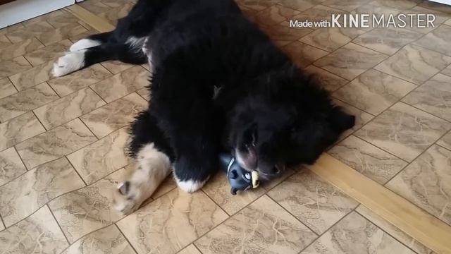 Píseň pro Daxe смотреть онлайн