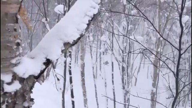 Открытие лыже-ночевочных походов. Холмский район. Остров Сахалин. смотреть онлайн