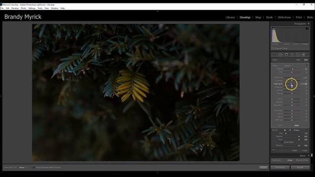 How I Retouch My Macro Nature Photography | Lightroom CC Tutorial смотреть онлайн