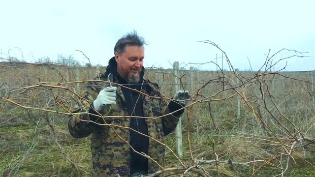 У батюшки на курорте. смотреть онлайн