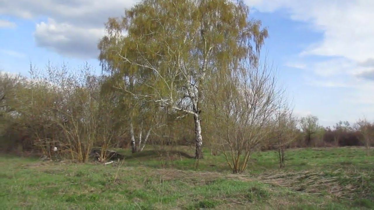 Опустевшая деревня Сухая Палатовка, Аткарский район