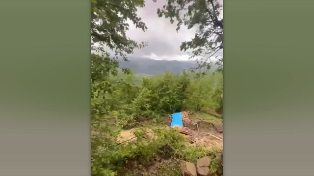 СЛУЧАИ В ПРИРОДЕ ОДИН НА МИЛЛИОН(0) смотреть онлайн