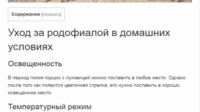 Родофиала смотреть онлайн