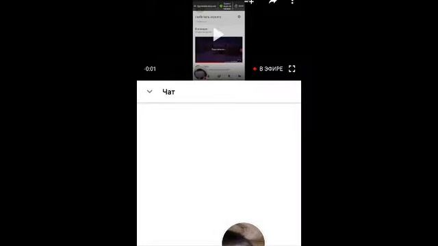 Стрим пиар смотреть онлайн