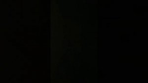 Перевод дрона Dji mini 2 с ce в fcc ! Dji mini 2 fcc