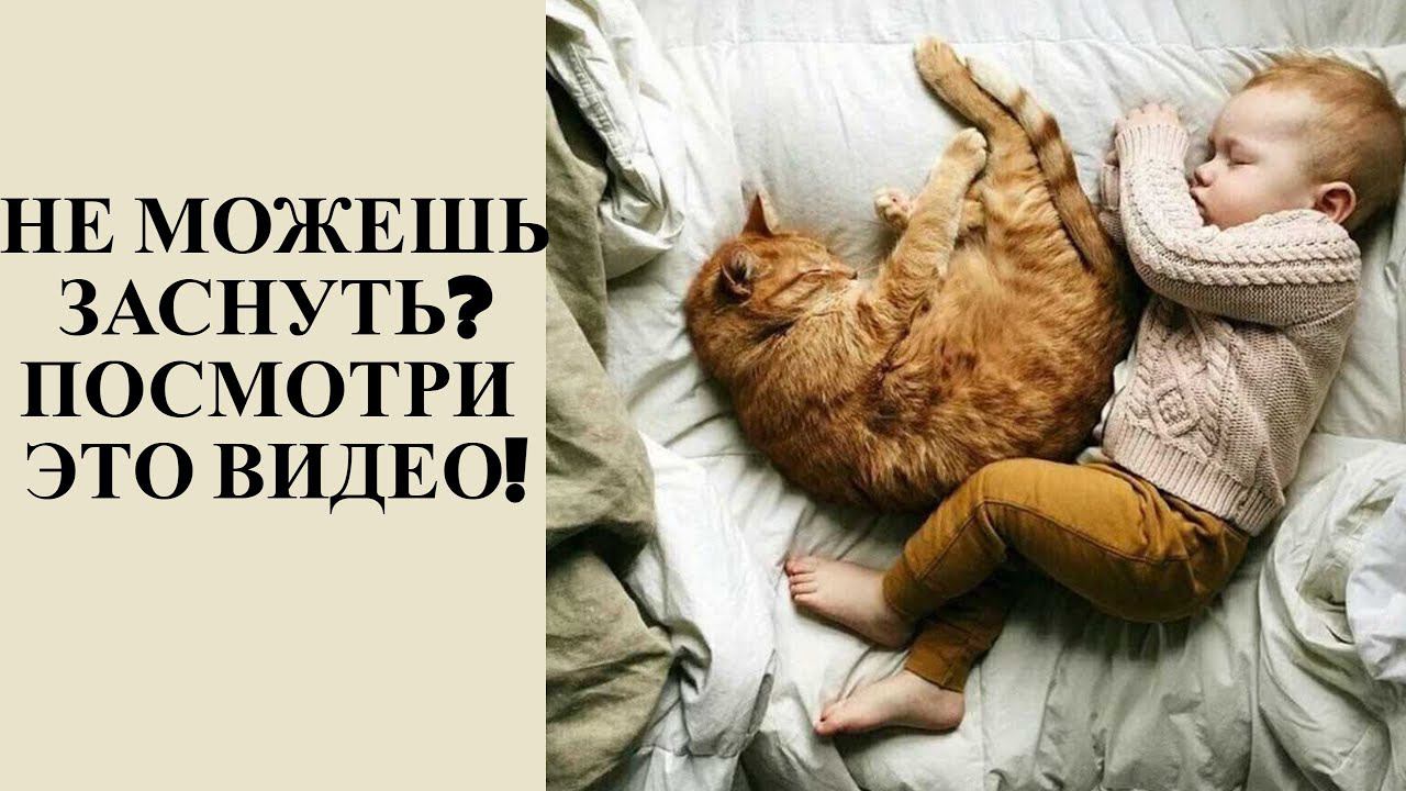 Что посмотреть перед сном?