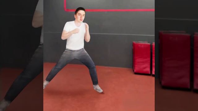 TheMainManSWE Tekken 8 training #meme #gameplay #tekken8 #training #mainmanswe #ai смотреть онлайн