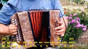 Пора домой. гр.«Сектор Газа»  (разбор на гармони)