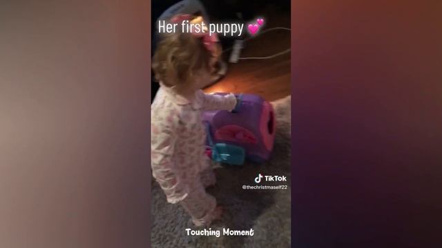 Best New Puppy Surprise Compilation #50 | Touching Moment смотреть онлайн