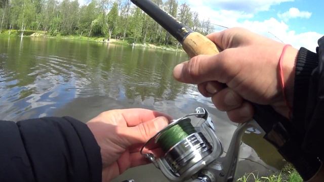 Сиг! Что за рыба такая? Очень вкусная и пахнет огурцом! Ловля сига на фидер.