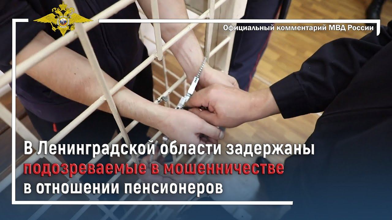 Ирина Волк: В Ленинградской области задержаны подозреваемые в мошенничестве в отношении пенсионеров смотреть онлайн
