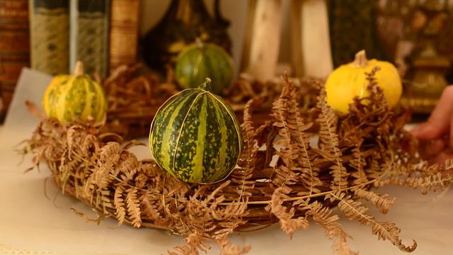 Slow living & fall garden routine 🍂 How I spend my rainy weekend | Cozy autumn vlog смотреть онлайн