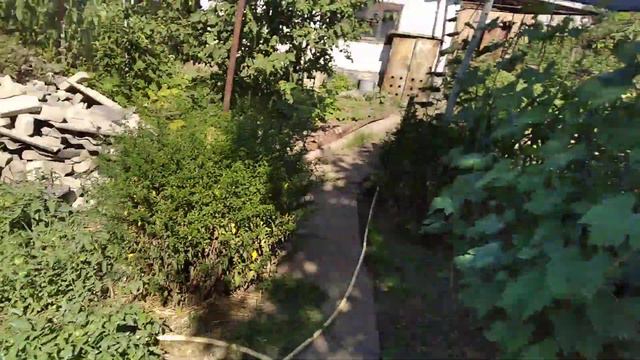 ЛУЧШЕЕ СРЕДСТВО ОТ МОШЕК И КОМАРОВ(НАТУРАЛЬНОЕ)!!!ОБЗОР МОЕГО ОГОРОДА. смотреть онлайн