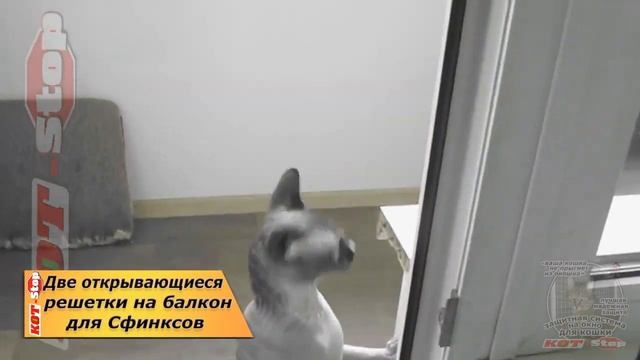 ? Защитная сетка решетка антикошка для кошки,на ЛЮБОЕ окно ОТКРЫВАЮЩАЯСЯ (на замках) КОТ-STOP смотреть онлайн