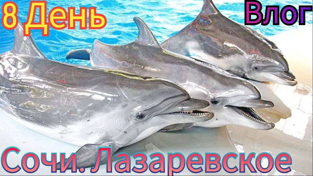 🌞 ОТПУСК И ПУТЕШЕСТВИЯ В ГОРОДЕ СОЧИ *8 день*