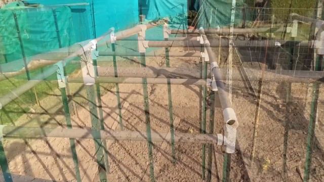 Comment créer une serre à tomates 1. Montage structure de A à Z смотреть онлайн