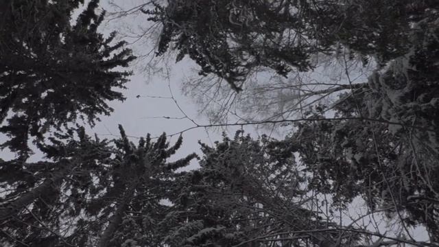 Video test panasonic hc v760 60 fps смотреть онлайн