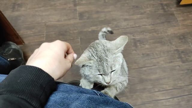 У МУЖА НА РАБОТЕ/УСТРОИЛАСЬ ТЕХНИЧКОЙ/БУДУ РАБОТАТЬ смотреть онлайн