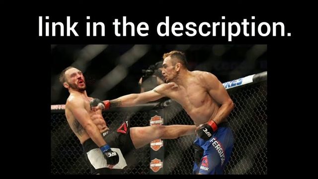 Tony vs Groovy смотреть онлайн