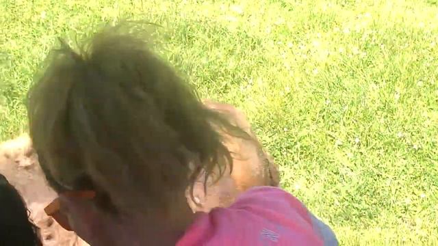 Зубри смотреть онлайн