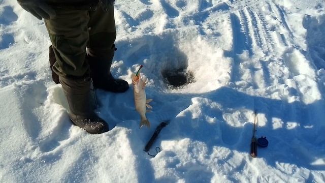 Рыбалка. Щука 2022. Февраль.