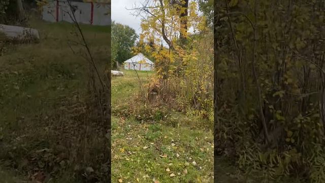 Зовём Майло с поля смотреть онлайн