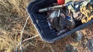 Открытие охоты на Утку 2022 г