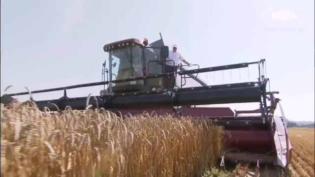 Клип "Любимую не отдают" смотреть онлайн