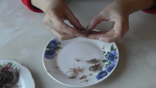 Гастрономический уголок с Антониной