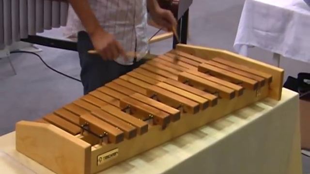 Taschner Xilofon 2.5 смотреть онлайн