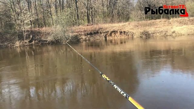 «Уклейка за 2 часа рыбалки на реке Кудьма» Рыбалка на поплавок около дома. смотреть онлайн