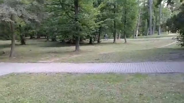 Почему лучший курорт Калининградской области Зеленоградск называется Королевским курортом смотреть онлайн