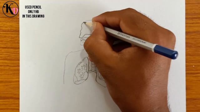 How to draw diagram of human Respiratory system easily - step by step смотреть онлайн