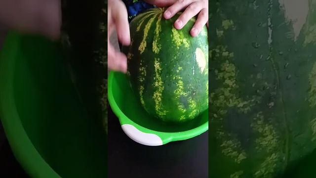 Купили арбуз 🍉 Очень вкусный!Продавец магазина сейчас наш подписчик 👍🍉 смотреть онлайн