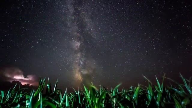 #стихи #поэзия Стихи - "ИГРА" Олег Д. смотреть онлайн