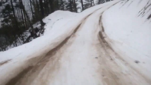 Лыжные трассы ленобласти в конце января (ВИФК) смотреть онлайн