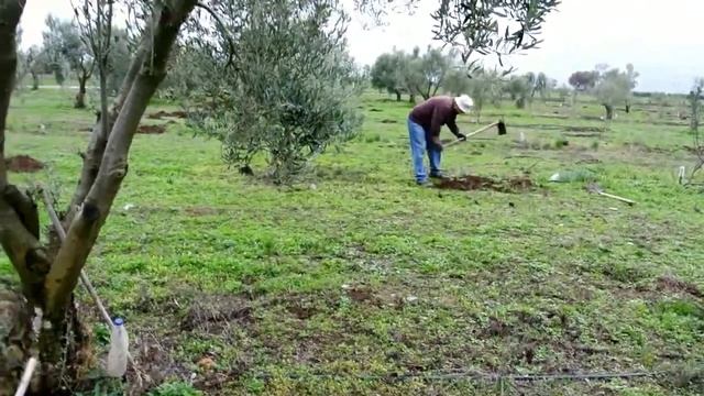 GREECE.ГРЕЦИЯ. НАШ ДЕНЬ С ВАМИ, МЫ КАК КРОТЫ КОПАЕМ))) И БОЛТОЛОГИЯ VLOG смотреть онлайн