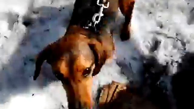 девочка не знает что такое YouTube смотреть онлайн