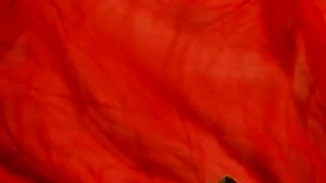 Intuitive reading for February 24, 2014 смотреть онлайн