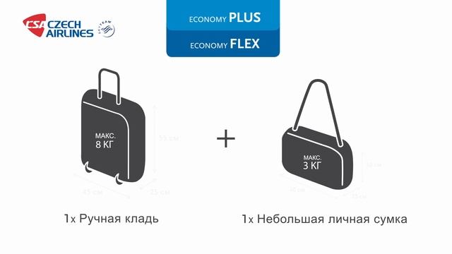 Нормы провоза ручной клади на рейсах авиакомпании Czech Airlines смотреть онлайн