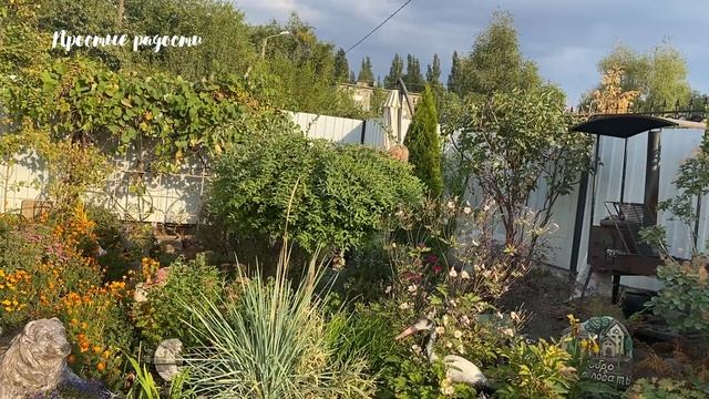 Как и какие кустарники я стригу в своем саду смотреть онлайн